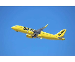 Quick & Reliable Spirit Airlines Name Change – +1-855-662-4577