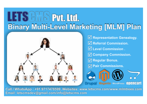 Binary MLM Business Software | Binary Network Marketing CMS Plugins