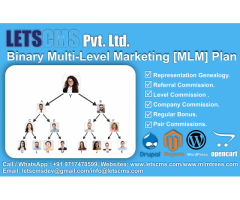 Binary MLM Business Software | Binary Network Marketing CMS Plugins