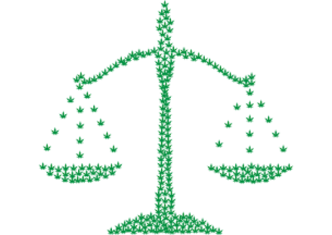 High Risk Processing Attorney