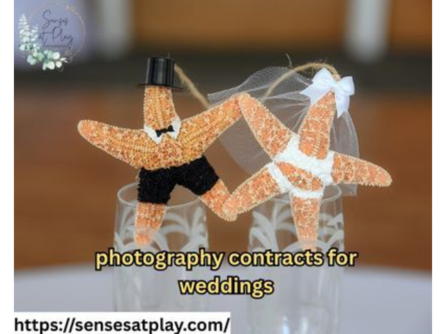 Best Deals on Photography Contracts for Weddings Online