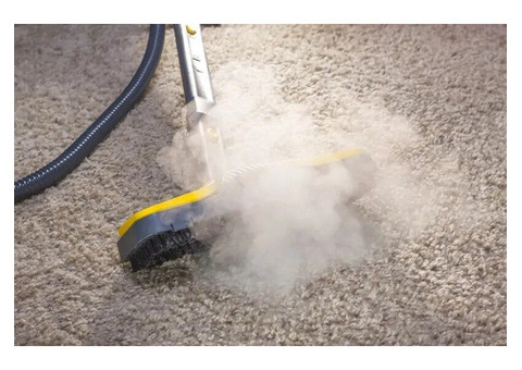 carpet steam cleaning specialist Adelaide