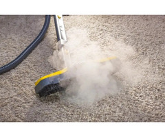 carpet steam cleaning specialist Adelaide