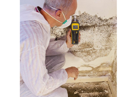 Mold Testing Houston TX