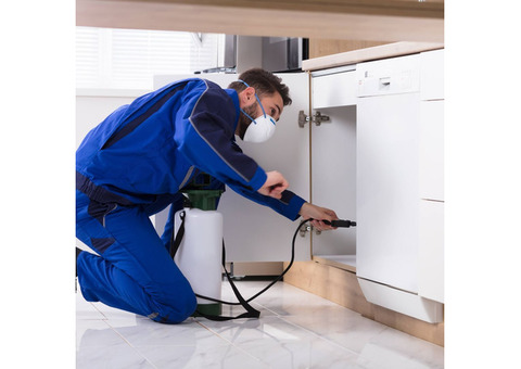 Barrie Pest Control
