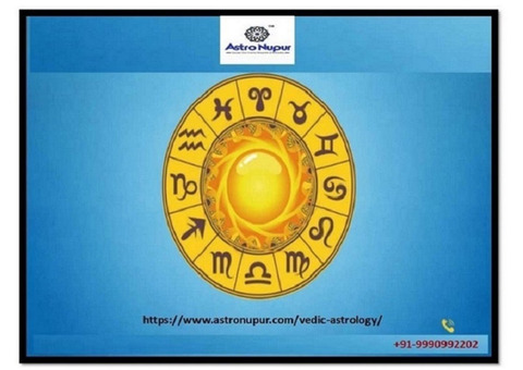 Vedic Astrologer in India