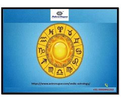 Vedic Astrologer in India