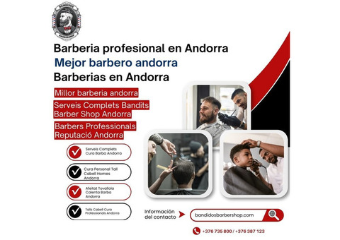 Talls de Cabell i Cura per a Homes a Bon Preu a Andorra