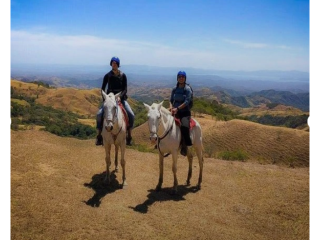 #1 Vacation Packages in Costa Rica | Mapache Tours