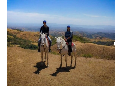 #1 Vacation Packages in Costa Rica | Mapache Tours