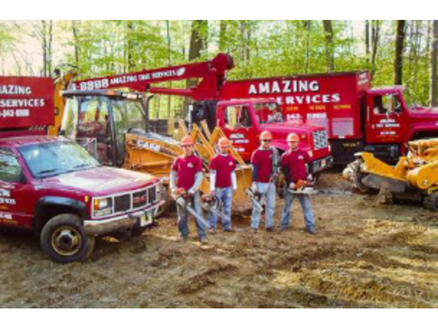 Reliable Tree Company in NJ