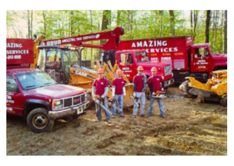 Reliable Tree Company in NJ