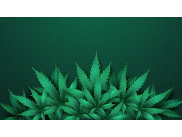 Coir-Based Substrate