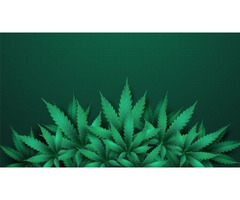 Coir-Based Substrate