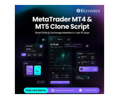 Bizvertex MetaTrader Clone the Perfect Choice for Entrepreneurs
