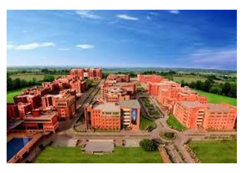 Amity Noida: Excellence & Leadership in India’s Private Sector