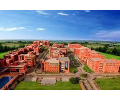 Amity Noida: Excellence & Leadership in India’s Private Sector