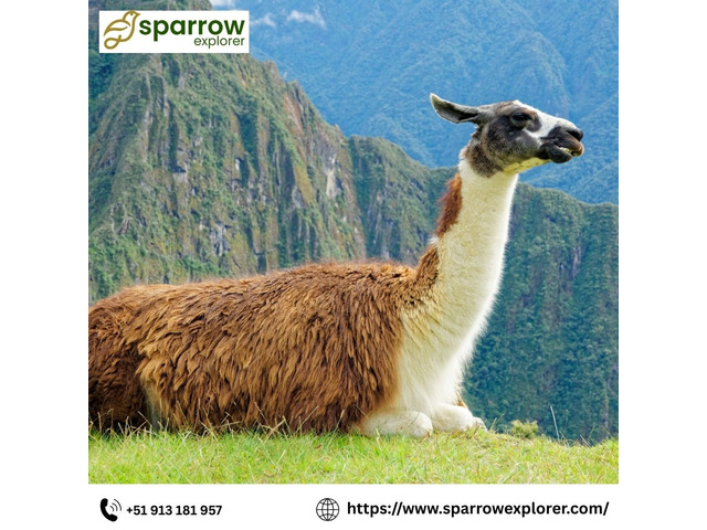 Unforgettable South American Travel Tours