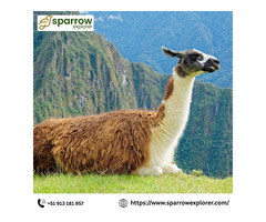 Unforgettable South American Travel Tours