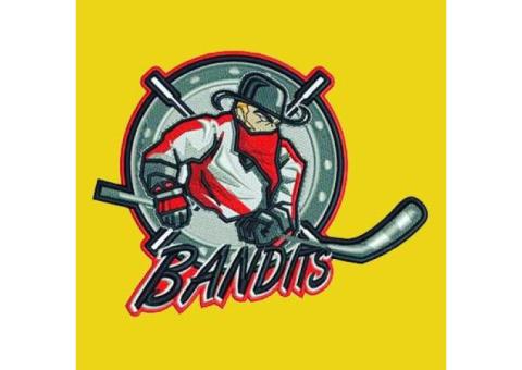 DIGITIZED LOGO FOR EMBROIDERY