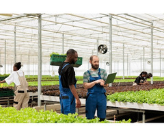 Grower Accounting Softwareenhouse ERP Here