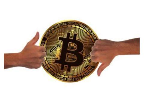How Do I Recover My Crypto Wallet?