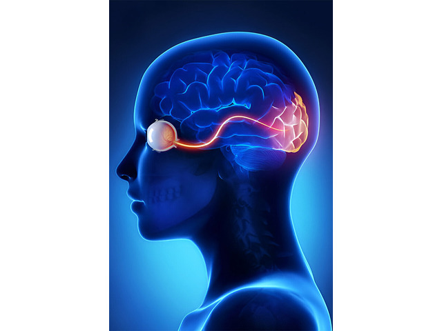 Stem Cell Therapy for Optic Nerve Atrophy