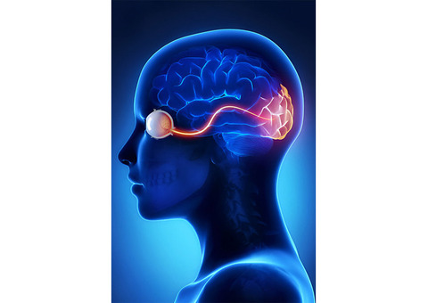 Stem Cell Therapy for Optic Nerve Atrophy