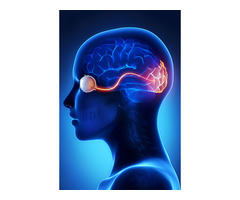 Stem Cell Therapy for Optic Nerve Atrophy