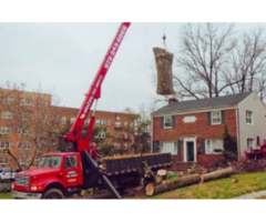 Tree Removal Service in NJ – Safe & Reliable