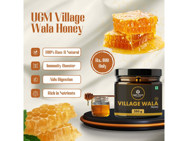 Pure Jungle Honey – Boost Immunity Now! 250g Only ₹449