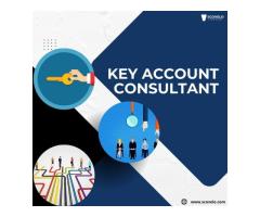 Key Account Consultant