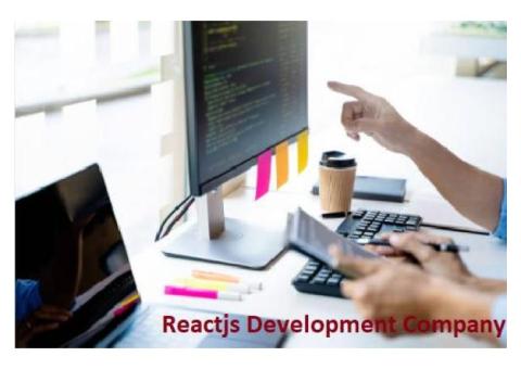 Reactjs Development Services