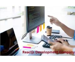 Reactjs Development Services