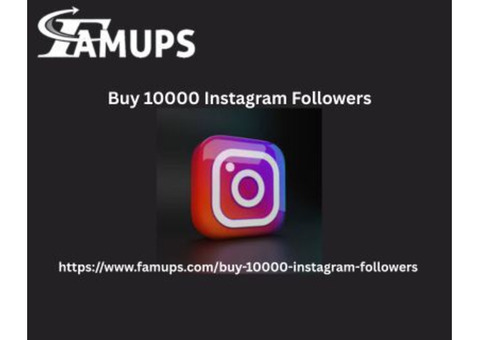 Buy 10000 Instagram Followers for Social Media Success
