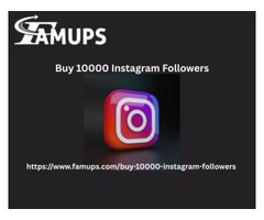 Buy 10000 Instagram Followers for Social Media Success