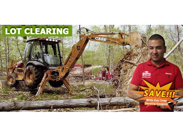 Professional Lot Clearing Service in NJ