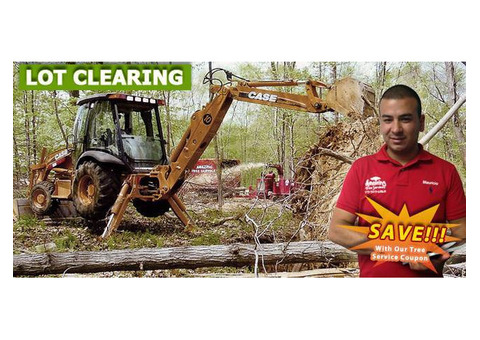 Professional Lot Clearing Service in NJ