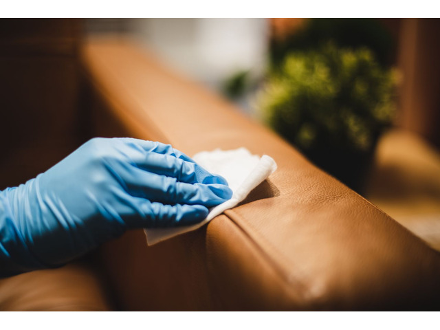 Professional Leather Cleaning Services in Sydney – Everdry