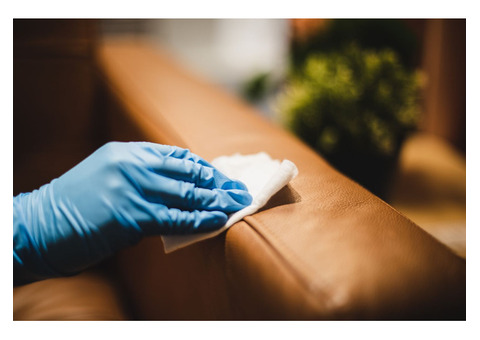 Professional Leather Cleaning Services in Sydney – Everdry