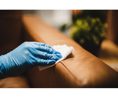 Professional Leather Cleaning Services in Sydney – Everdry