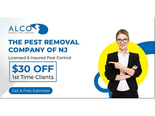 Safe & Humane Pest Removal in NJ