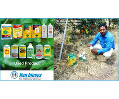 Leading Biofertilizers Biopesticides Company in India