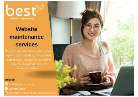 Website maintenance services