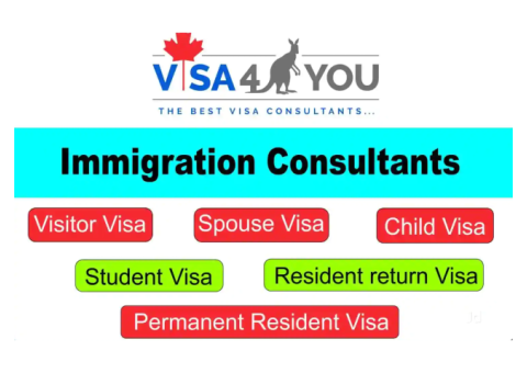 Best Visa and Immigration Consultants in Pune