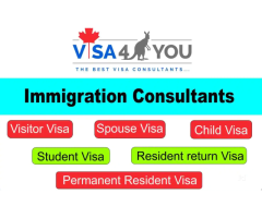 Best Visa and Immigration Consultants in Pune