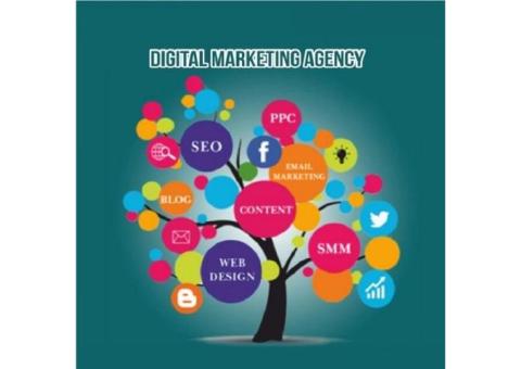 Digital Marketing Agency