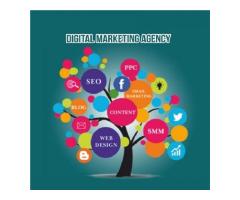 Digital Marketing Agency