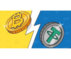 Perfect Flash USDT software