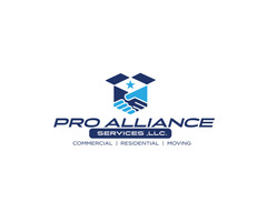 Pro Alliance Services LLC